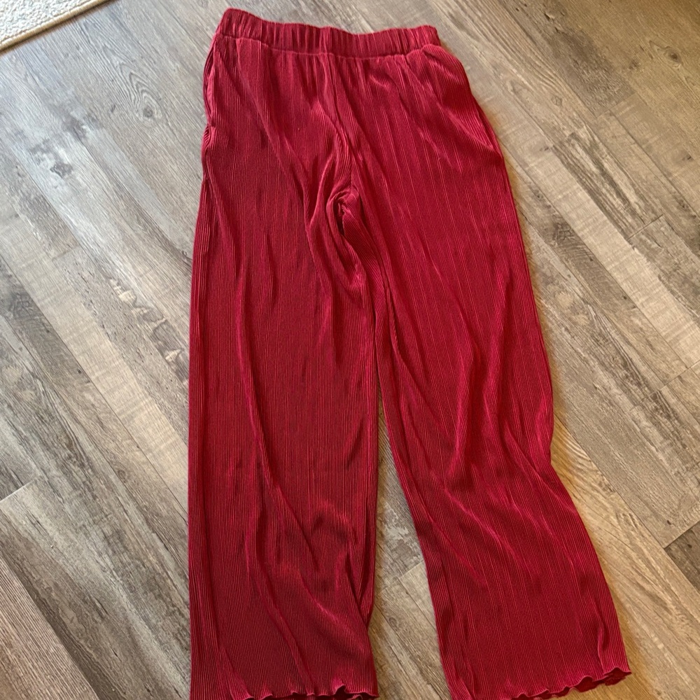 Abercrombie & Fitch Crimson Pleated Pants
